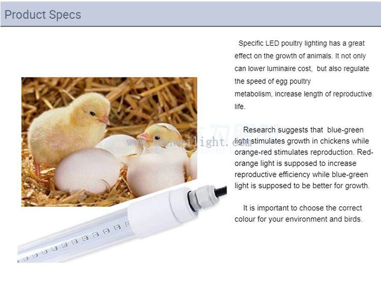 timed light for chicken coop