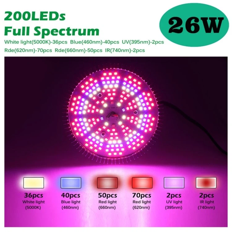 LED red light bulbs LED red light bulbs