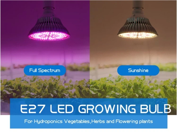 red light bulb red light bulb