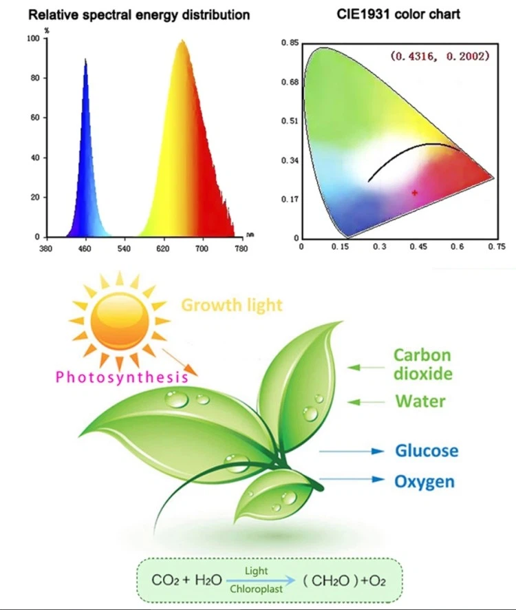 red lights bulb red lights bulb
