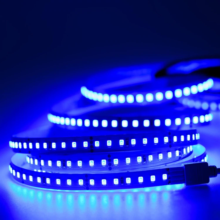 24V LED strips blue 24V LED strips blue