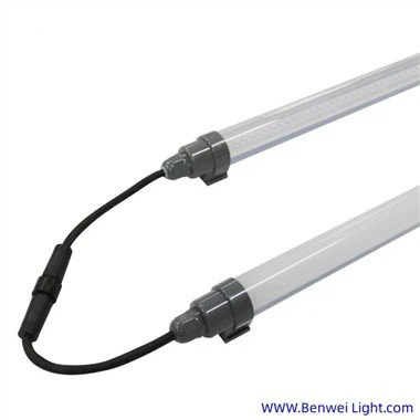Ampoules Led pour Poulailler