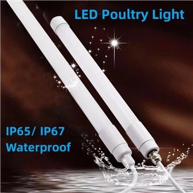 Lumières de tube menées 12v