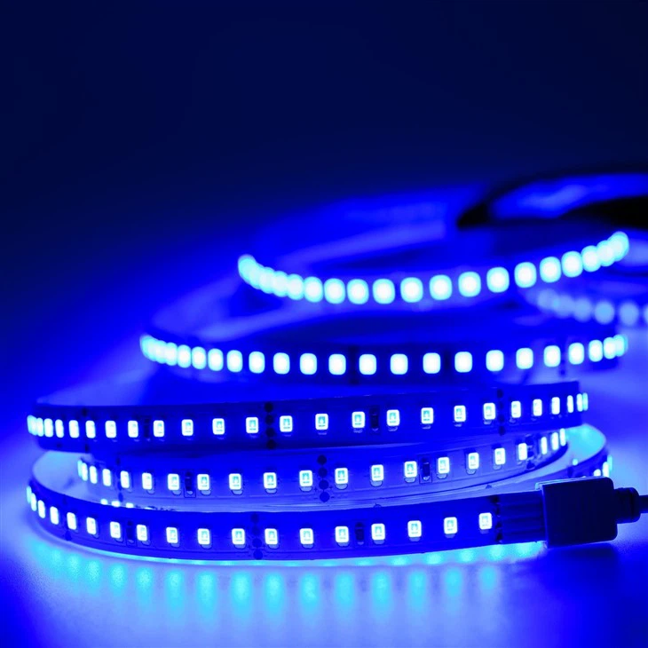24V LED Strips Blue