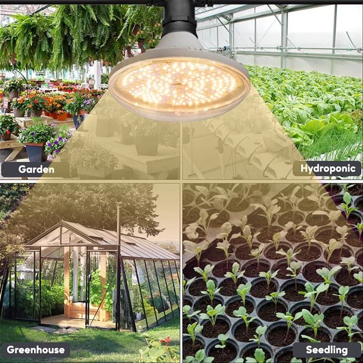 30watt Led Indoor Grow Light