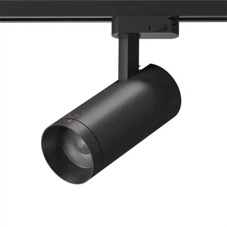 living room with track lighting