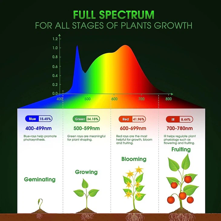 11W Grow Bulb Red & Blue 2