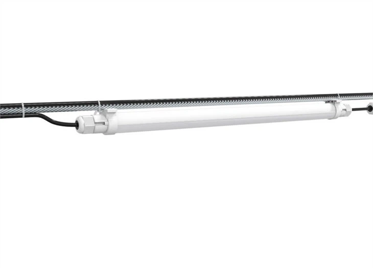 lighting for broilers