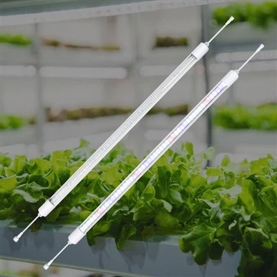 Lumières de serre pour l'hiver