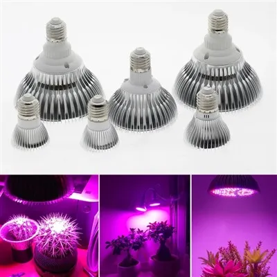 Lampe de croissance à spectre complet