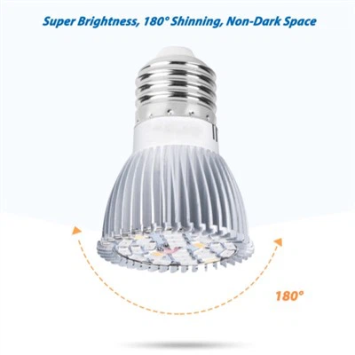 Ampoule pour garder les plantes au chaud