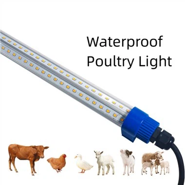 Eclairage Led pour Poulailler