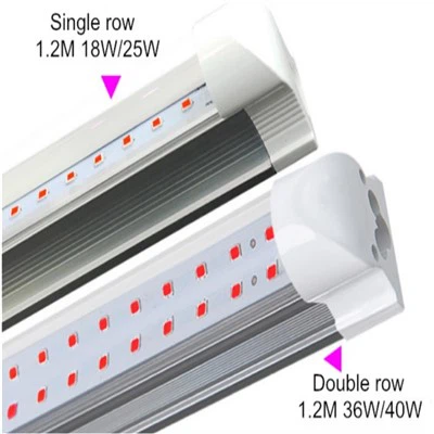 Lampe Uv Pour Plantes