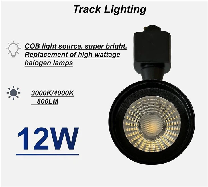 black track lighting modern