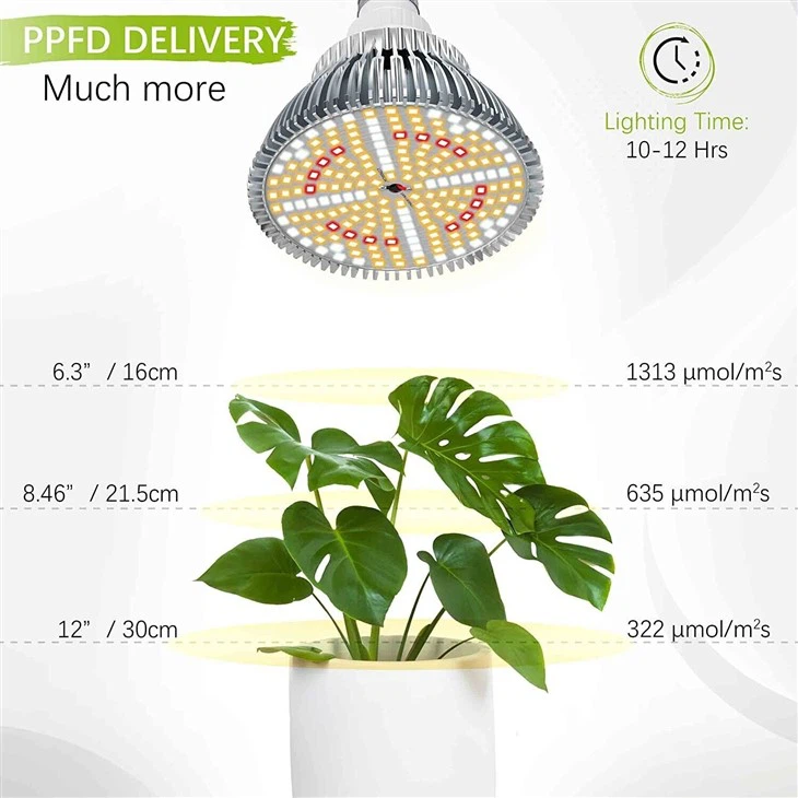 30W Plant Light Bulb 1