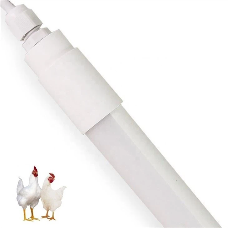 battery operated chicken coop light