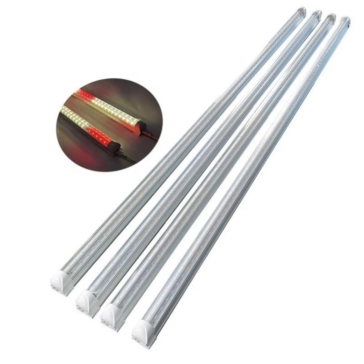 indoor greenhouse with lights