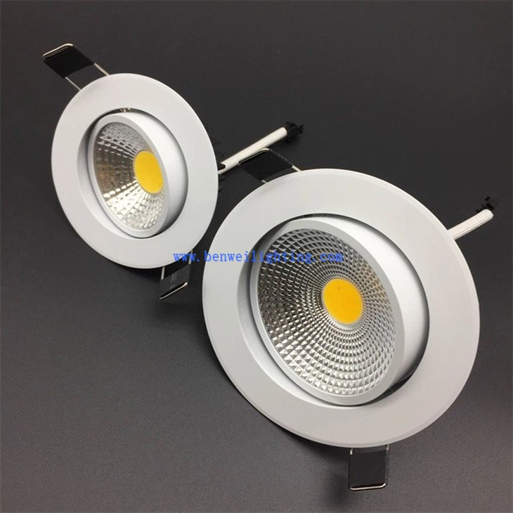 Downlight For Housing Decoration (3)