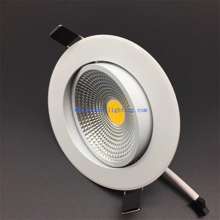 Downlight For Housing Decoration (5)