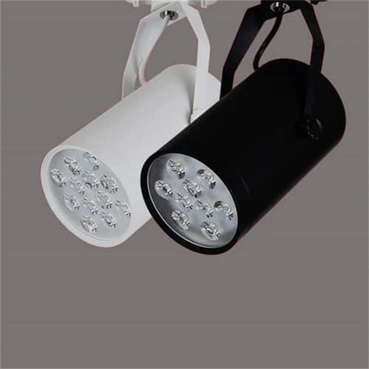 Flexible Track Light