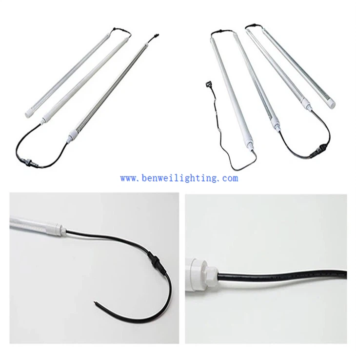 Fowl LED Lighting (3)