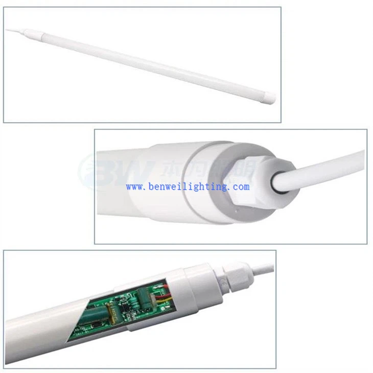 Fowl LED Lighting (4)