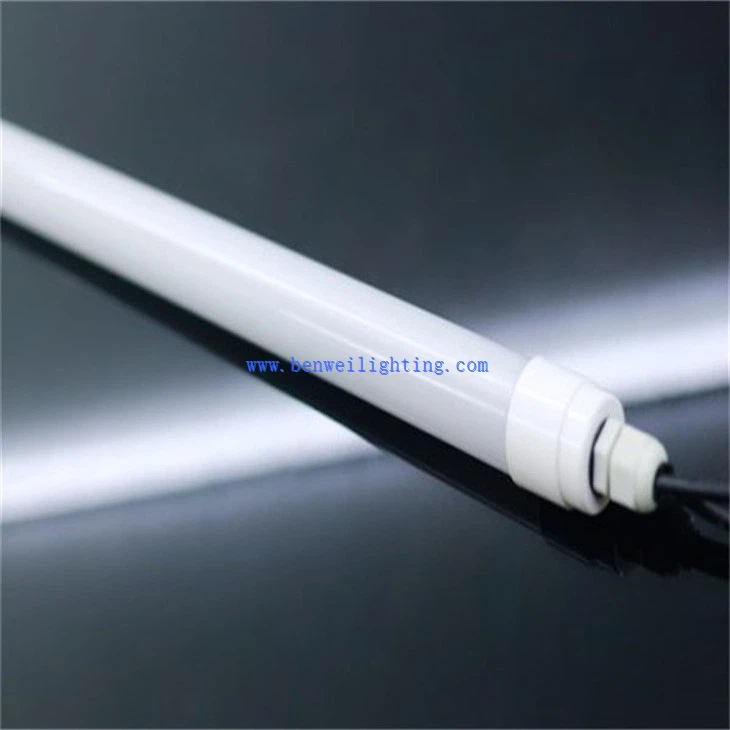 Fowl LED Lighting (2)