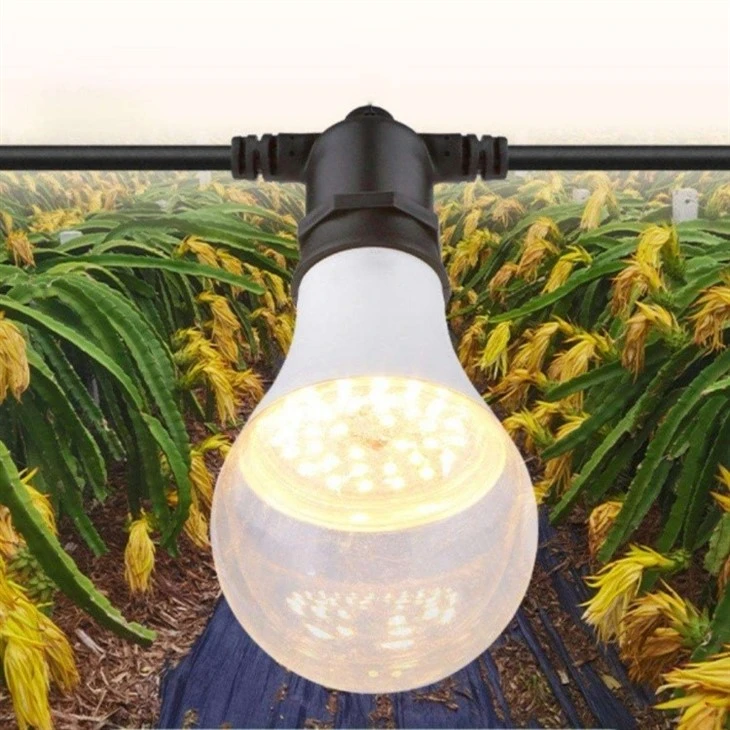 High-CRI Full Spectrum LED Plant Light factory