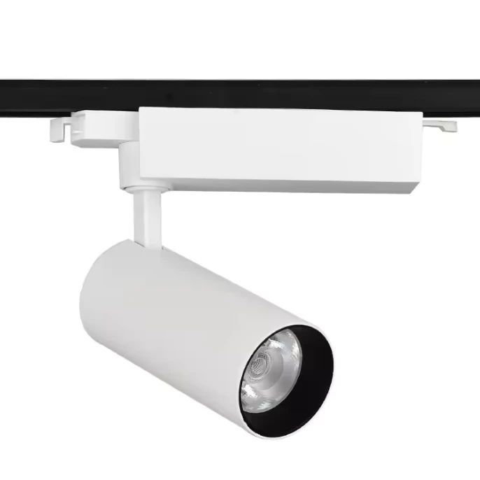 D585CF47D74BC898BE5CAA07FB1BC507