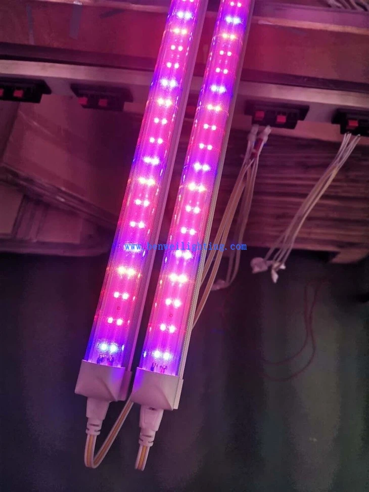 Indoor LED Plant Grow Light With LED Full Spectrum
