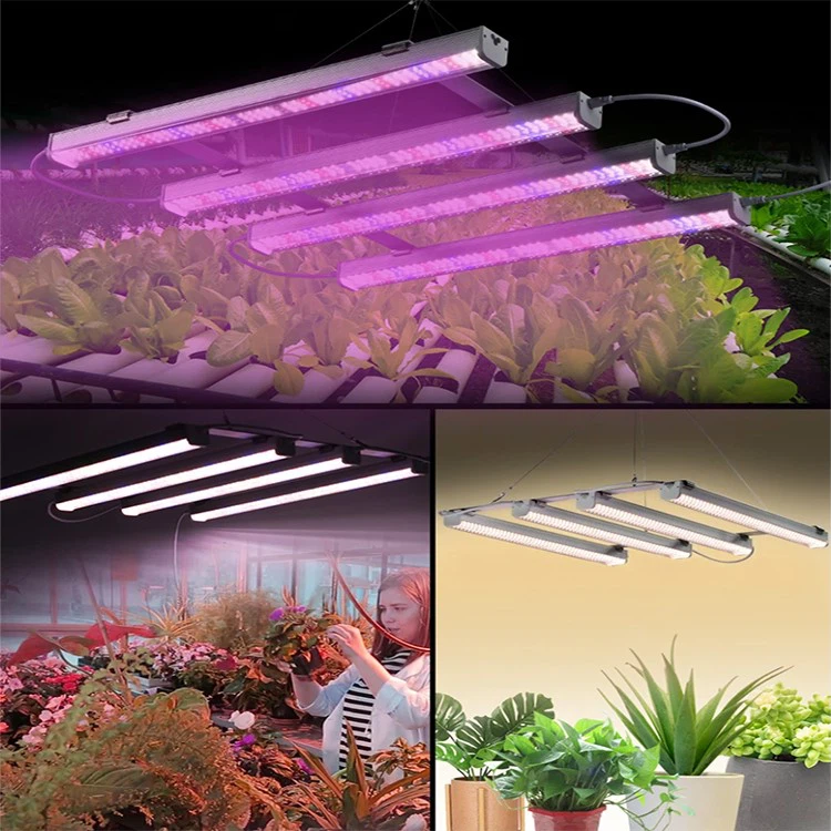 full spectrum grow lights full spectrum grow lights