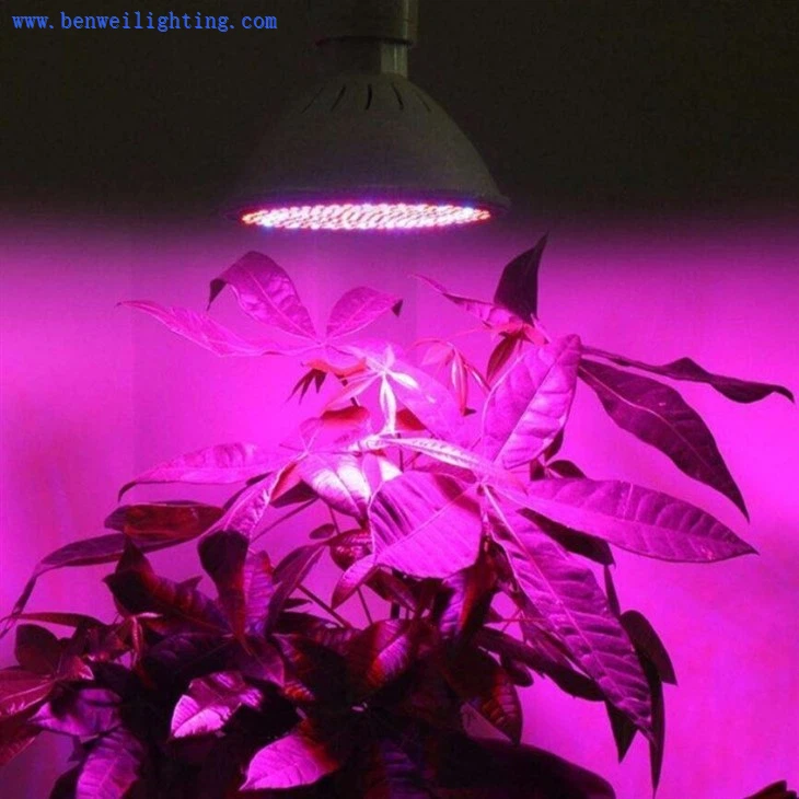 full spectrum grow light bulb