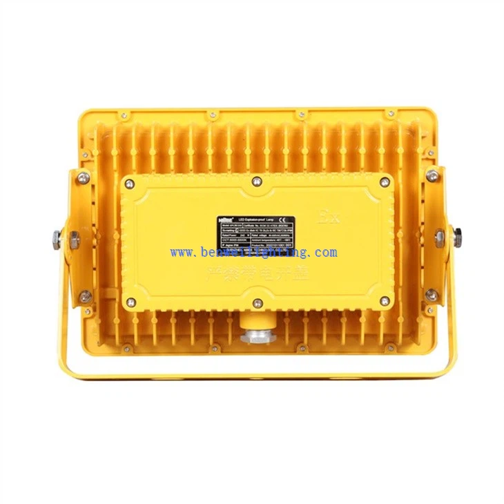 LED Hazardous Light  (4)