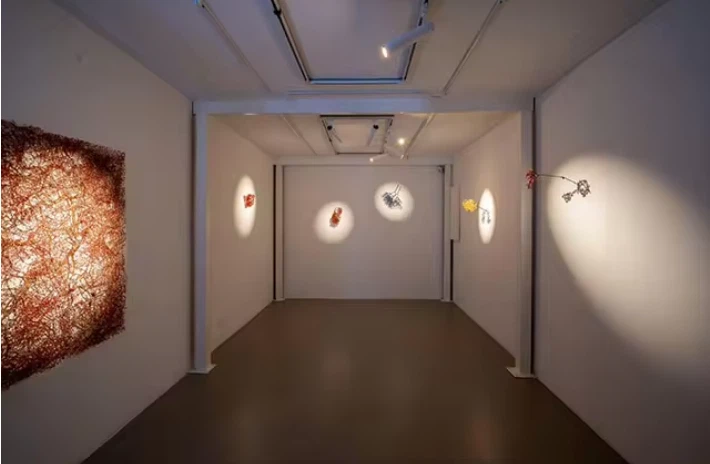 EE2DE5F7-DC61-4060-B777-498539546037 EE2DE5F7-DC61-4060-B777-498539546037