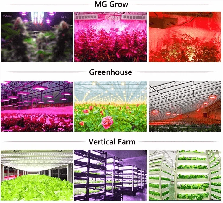 202111101554443086635 202111101554443086635