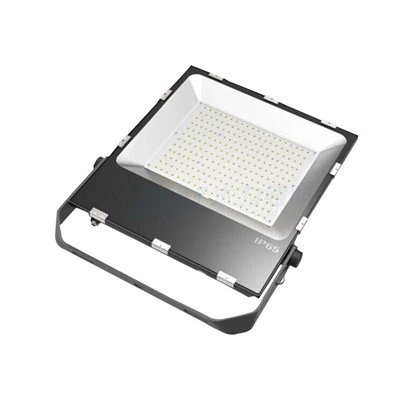 Projecteur LED 100 watts IP66